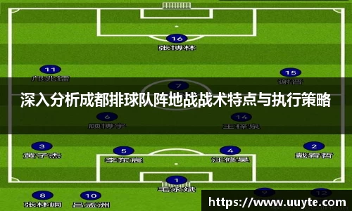 深入分析成都排球队阵地战战术特点与执行策略